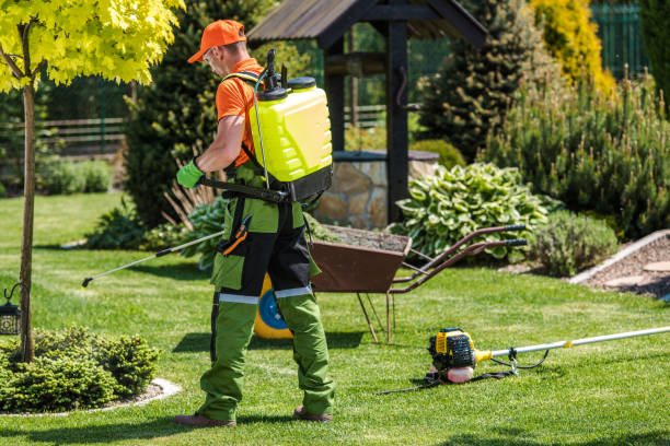 Best Fumigation Services  in Saddle Rock, NY